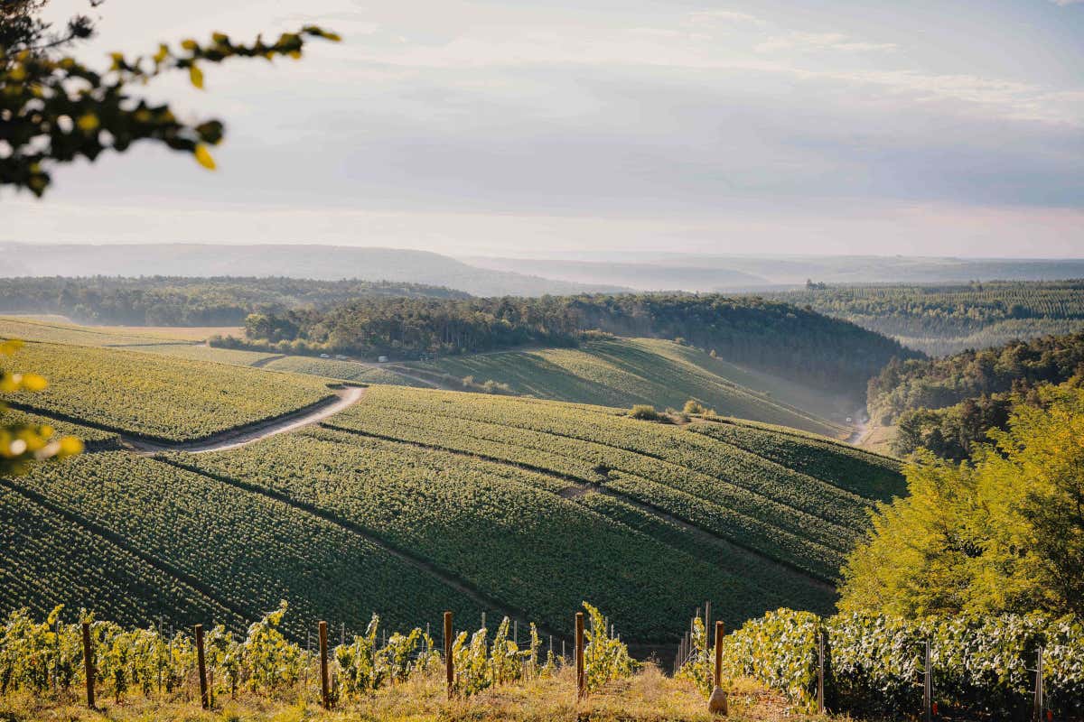 La Borgogna incontra la Champagne: a Milano degustazione della Maison Alexandre Bonnet La Borgogna incontra la Champagne: a Milano degustazione della Maison Alexandre Bonnet